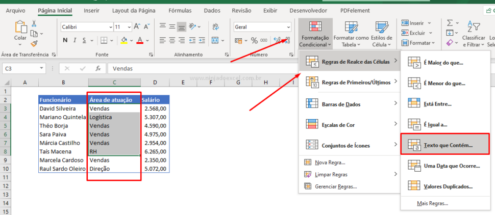 Copiar Formata O Condicional Para Outra C Lula Excel Ninja Do Excel