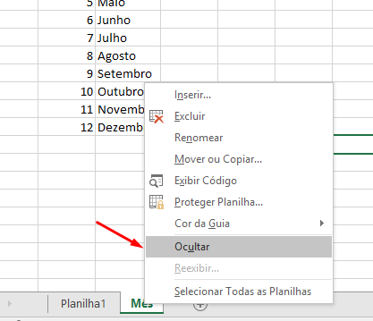 ocultar planilha no Excel