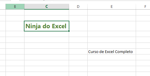 Texto formatado para Pincel de Formatação no Excel