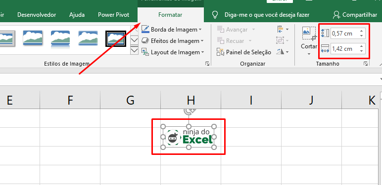Redimensionando Imagem em uma Célula no Excel