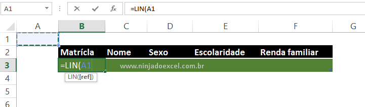 Função LIN para Matrícula automática no Excel