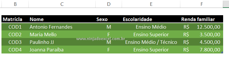 Matrícula automática no Excel funcionado