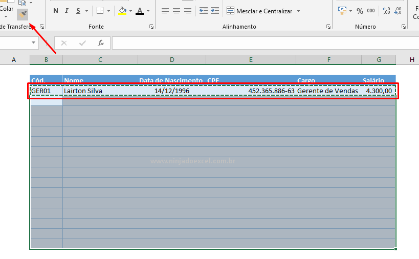 Pincel de formatação para máscara para CPF no Excel