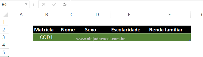 Prefixo criado para Matrícula automática no Excel