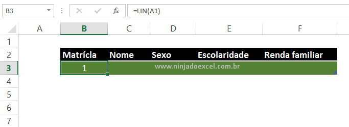 Resultado de lin para criar Matrícula automática no Excel