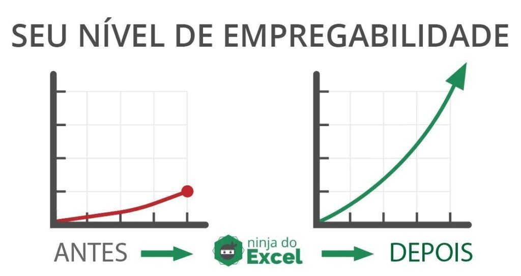 Curso Excel Ninja do Excel - empregabilidade