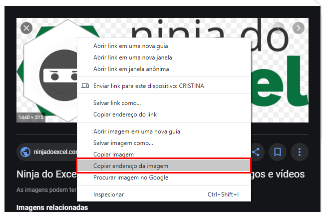 Ninja do Excel