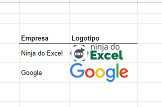 Imagem do Ninja do Excel e do Google
