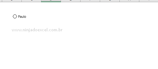 Botão de Opção no Excel acionado