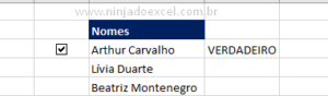 Descubra Como Fazer Caixa De Sele O No Excel Ninja Do Excel