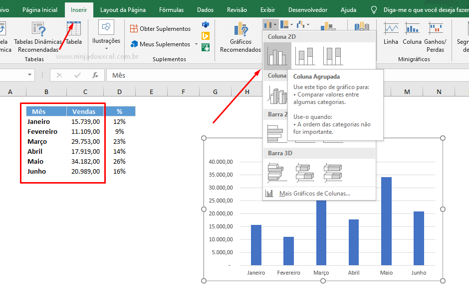 Criando Gráfico para Valor e Percentual no mesmo Rótulo de Dados no Excel