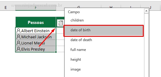 Data de nascimento para Novos Tipos de Dados no Excel