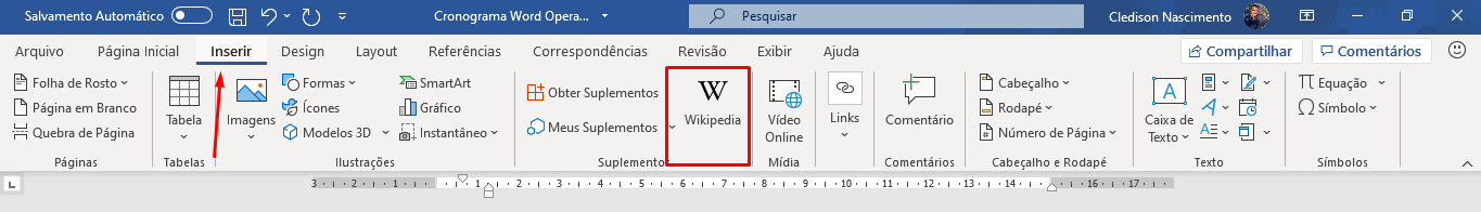 Suplemento Wikipédia no Word