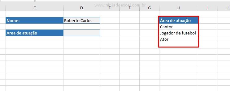 Opções para Menu Dropdown no Excel