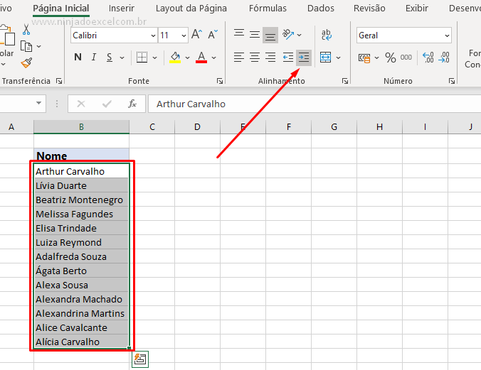 Botão de Recuo no Excel