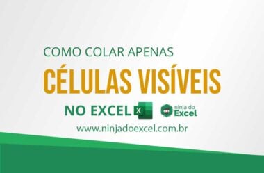 Como Colar Apenas Células Visíveis no Excel