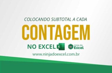 Como Colocar Subtotal a Cada Contagem no Excel