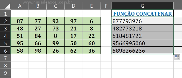 Resultado final da função CONCATENAR em Função Concatenar e Concat no Excel