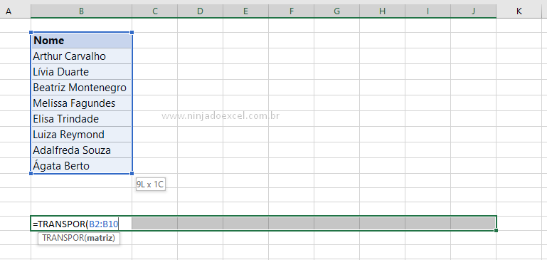 Função para Transformar Linha em Coluna no Excel
