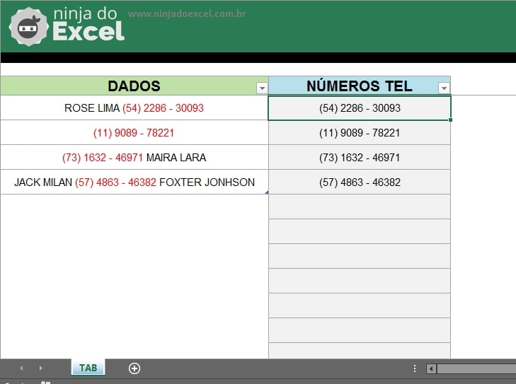 Entendendo a planilha de Números Telefônicos no Excel