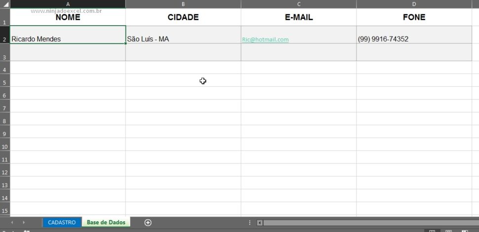 Cadastro De Agenda Telefônica No Excel Ninja Do Excel 6029