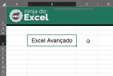 Caixa de Texto Vinculada no Excel