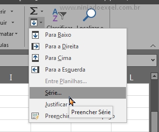 Preenchimento em Série no Excel, ícone de preencher