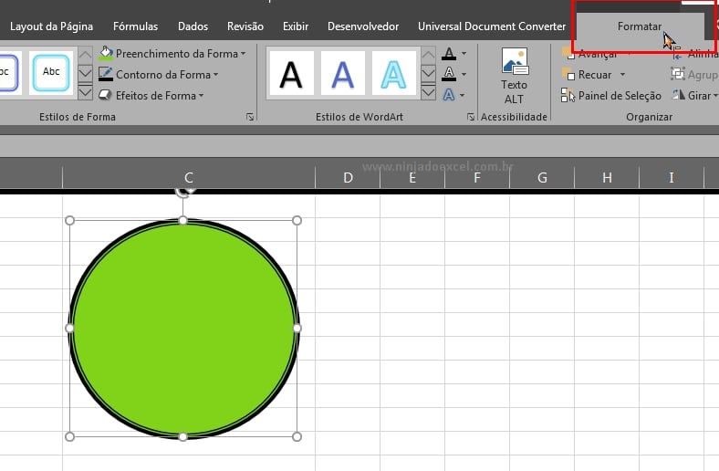 Remover as Bordas do Objeto no Excel, guia formatar