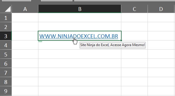 Dicas de Tela do Hiperlink no Excel, resultado da dica de tela