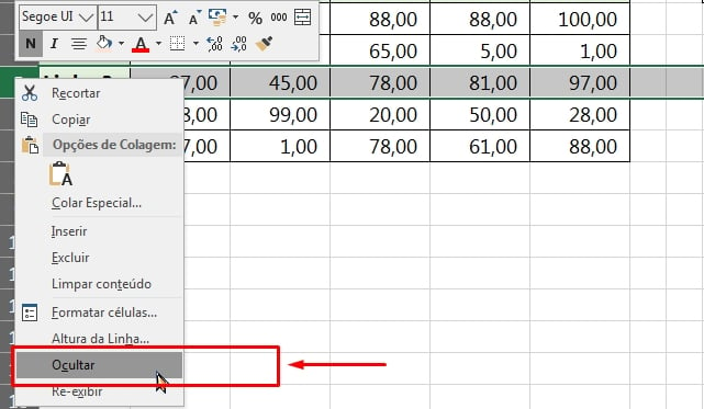 Subtotal Inclui e Ignora Linhas Ocultas no Excel, ocultando linha