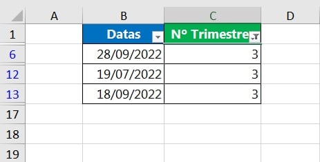 Trimestres no Excel, resultado trimestral