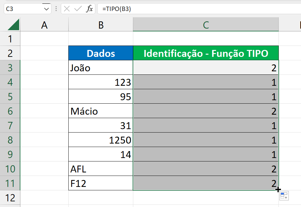 Função TIPO para Identificar Textos ou Números no Excel