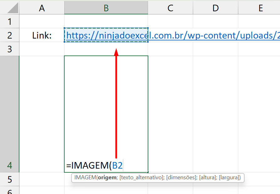 Função IMAGEM no Excel, link