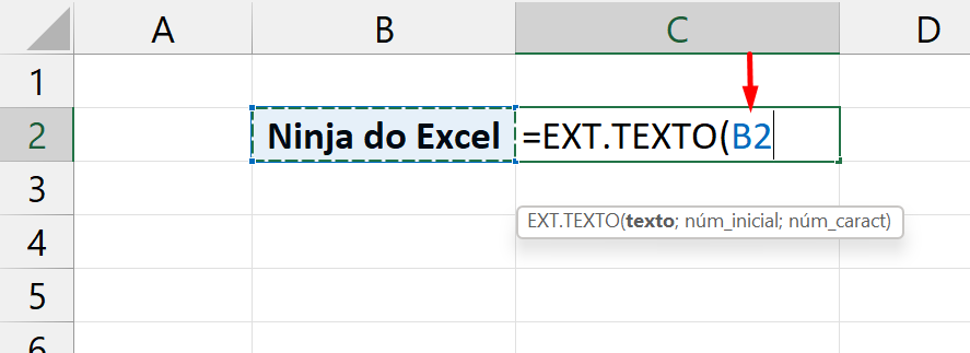 Funções de Texto do Excel, ext.texto