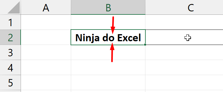 Funções de Texto do Excel, letra