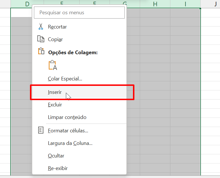 Linhas e Colunas no Excel, inserir colunas