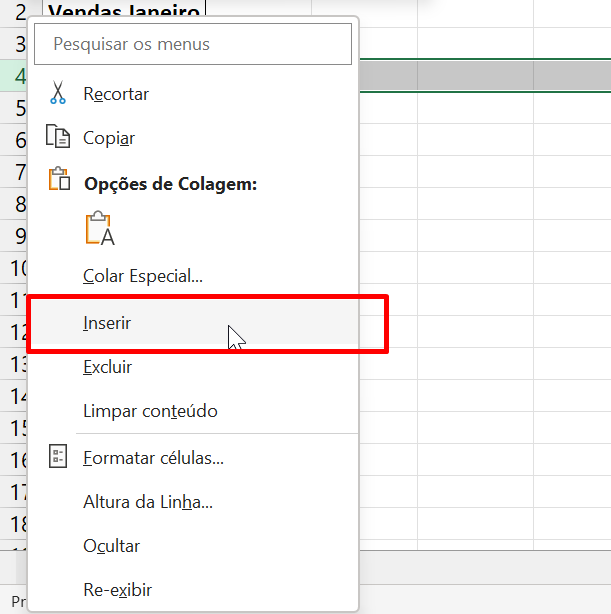 Linhas e Colunas no Excel, inserir