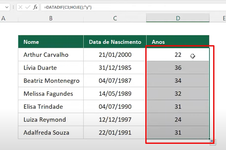 Funções Básicas do Excel, resultado datadif