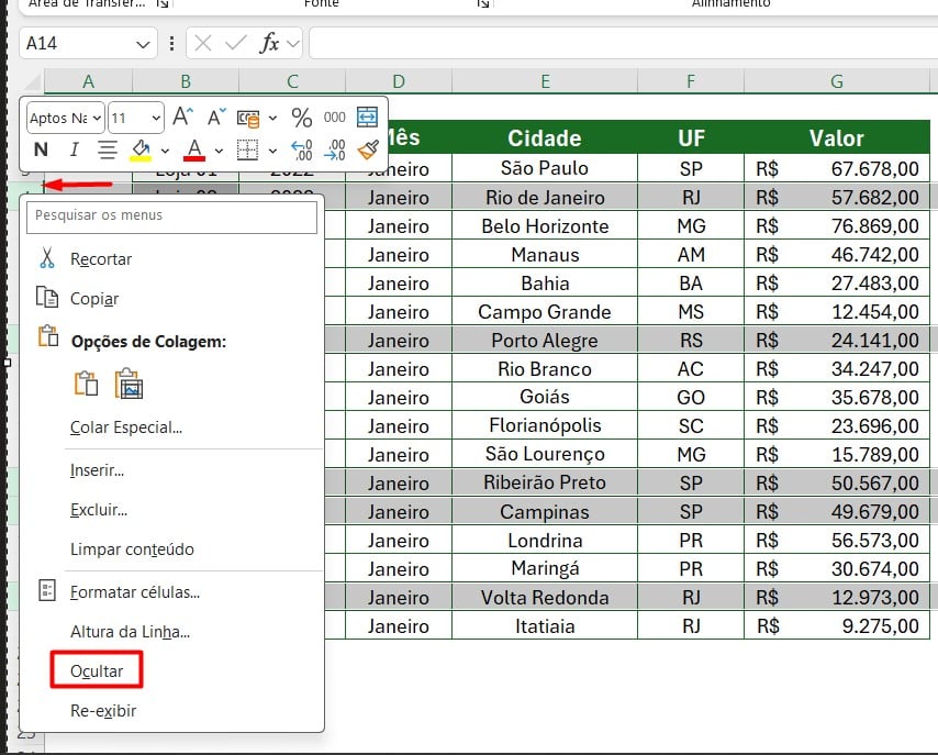 Como Ocultar Linhas no Excel