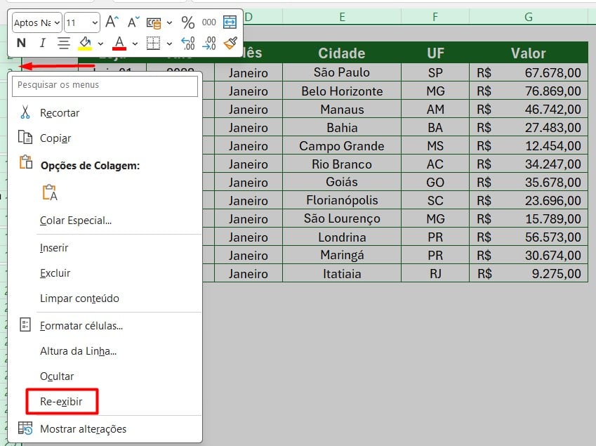 Como Reexibir Linhas no Excel