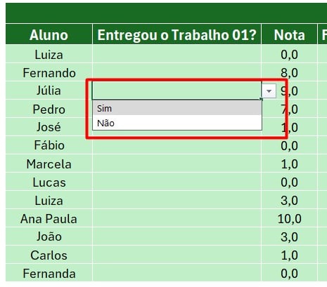 Opções de SIM ou NÃO no Excel