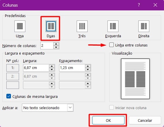 Dividindo o Texto em Duas Colunas no Word