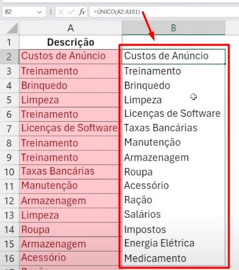 Aplicando da Função ÚNICO no Excel