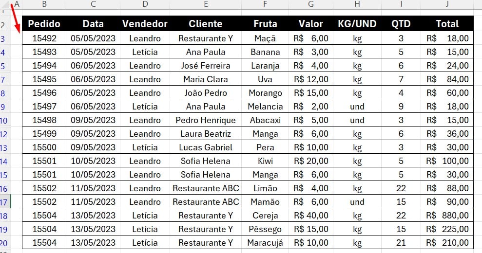 Linhas Duplicadas Removidas da Tabela do Excel