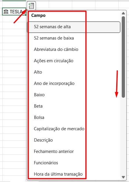 Opções de Informações das Ações no Excel