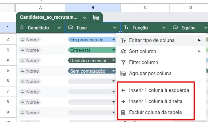 Configurando Tabela de Candidatos ao Recrutamento