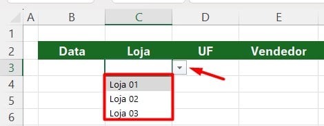 Como Colocar Filtro com Opções no Excel