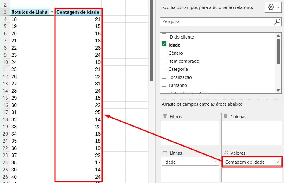 Resultado da Contagem de Idade na Tabela Dinâmica