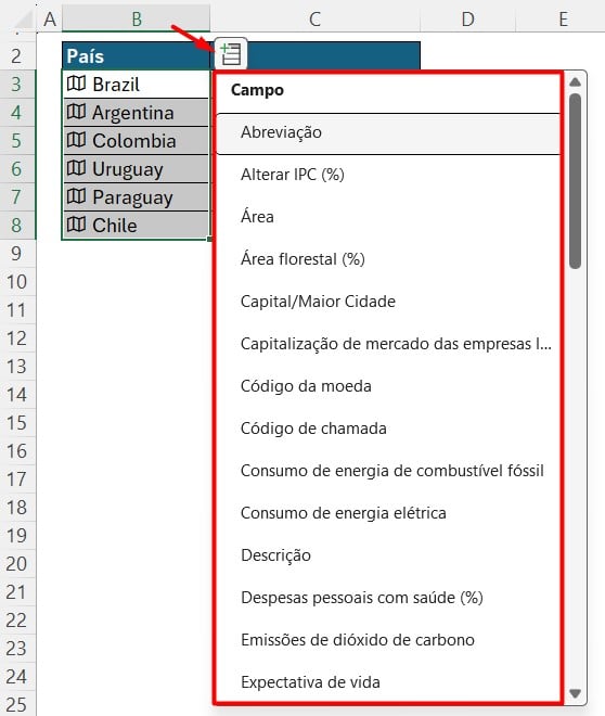 Opções de Dados na Geografia no Excel