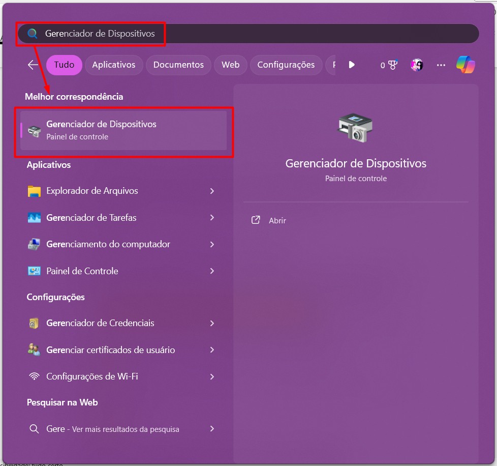 Selecionando o Gerenciador de Dispositivos do Computador